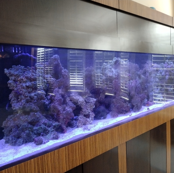 Fishtank/Aquarium - Picture 3 of 6